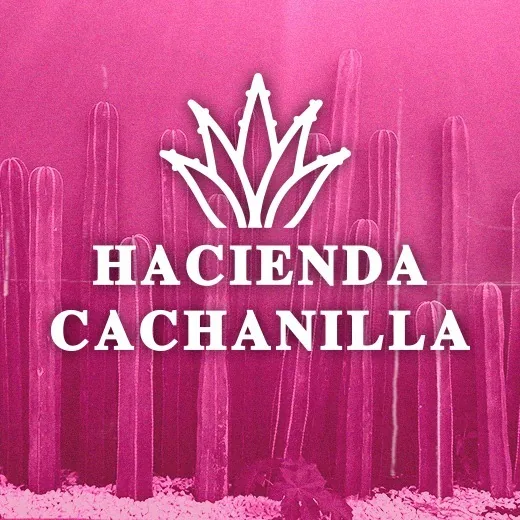 Hacienda Cachanilla logo
